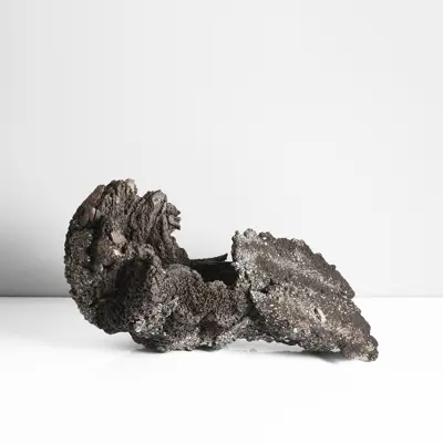 Claudi Casanovas, Bowl Form