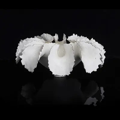 Ceramic artwork from Maak collection
