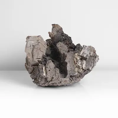 Claudi Casanovas, Block Form